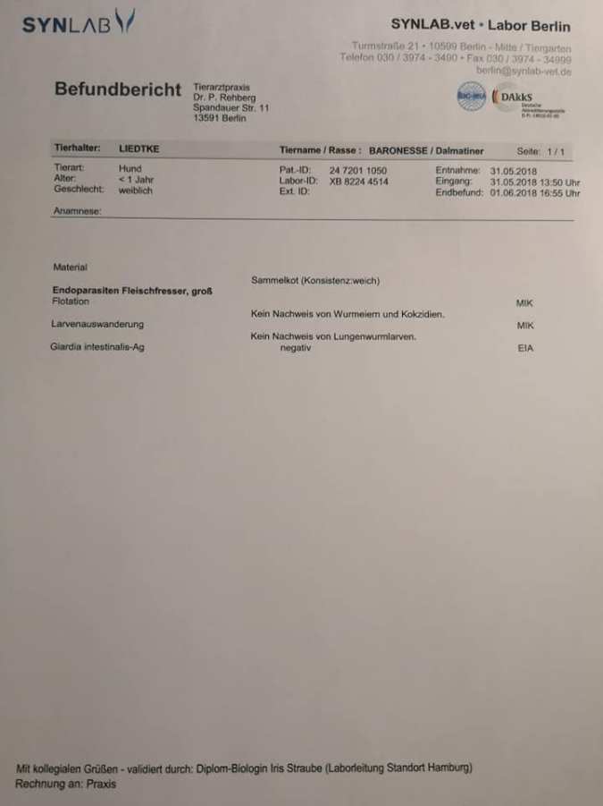 1. Sammelprobe 3. Woche